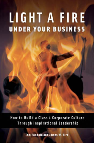 Light a Fire Under Your Business: How to Build a Class 1 Corporate Culture Through Inspirational Leadership page Cover1