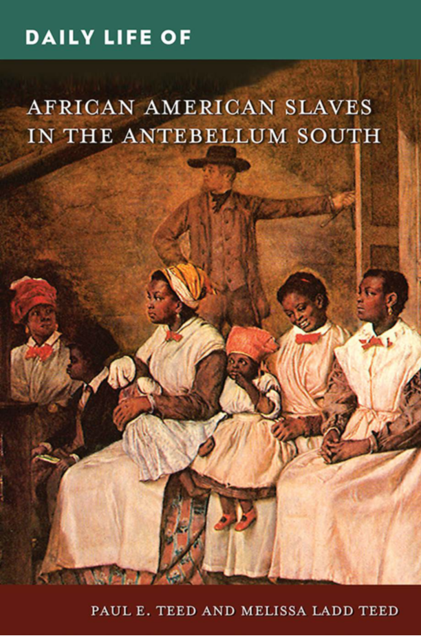 Daily Life of African American Slaves in the Antebellum South page Cover1