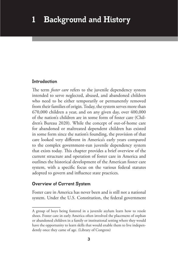 Foster Care in America: A Reference Handbook page 3